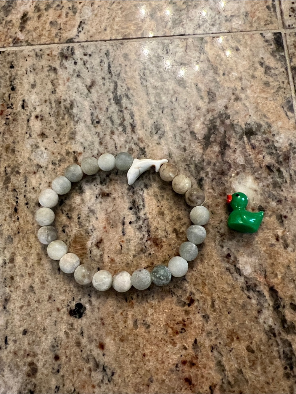 Beaded Stone Stretch Bracelet with White Shark Tooth Accent